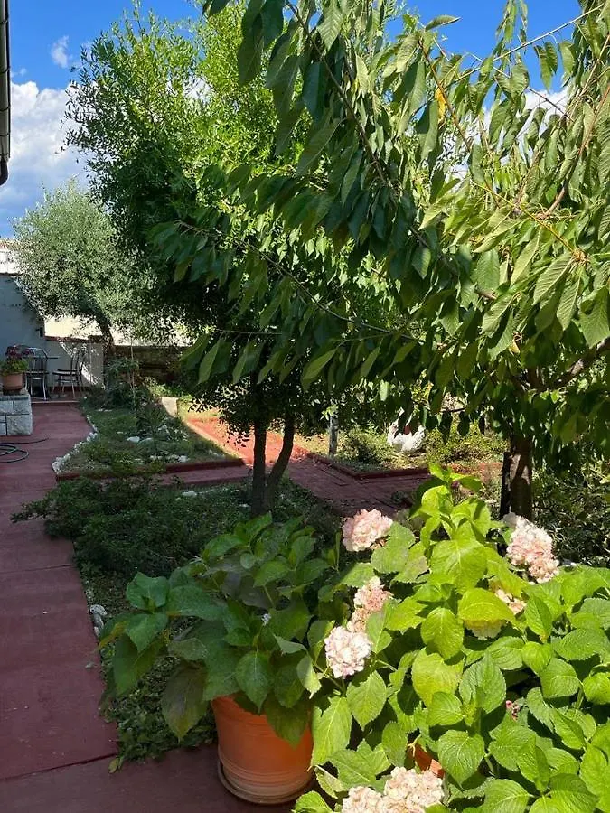 Holiday home Nonna Alida Villa Pula